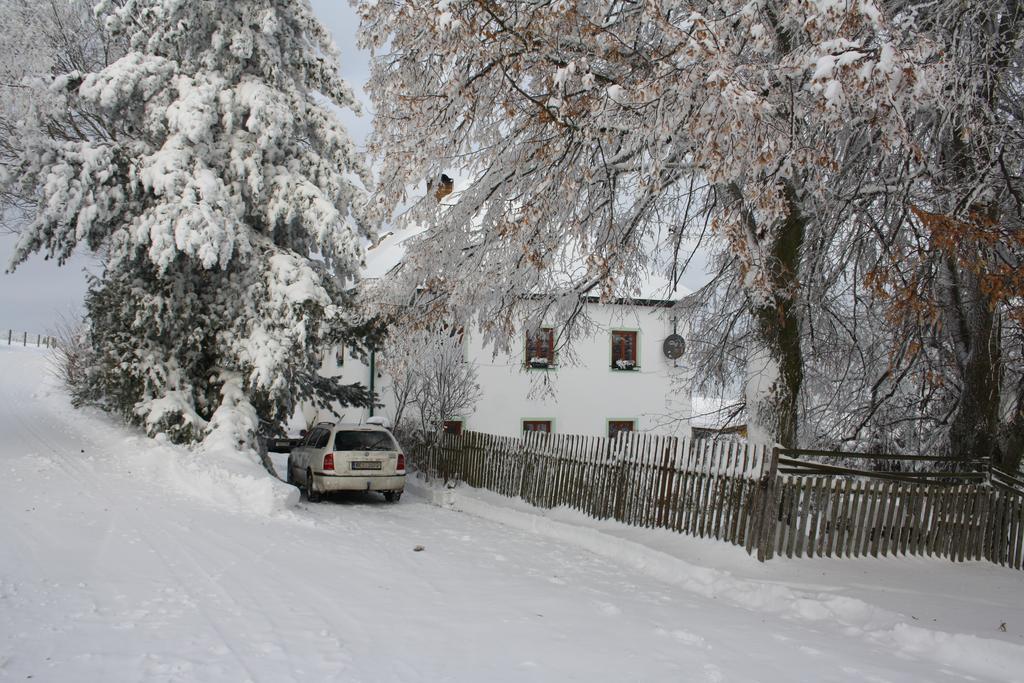 Apartman Hořice na Šumavě 外观 照片